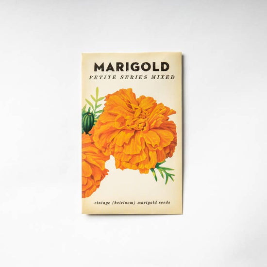 Marigold &