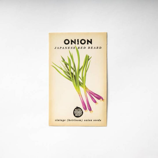 Onion &