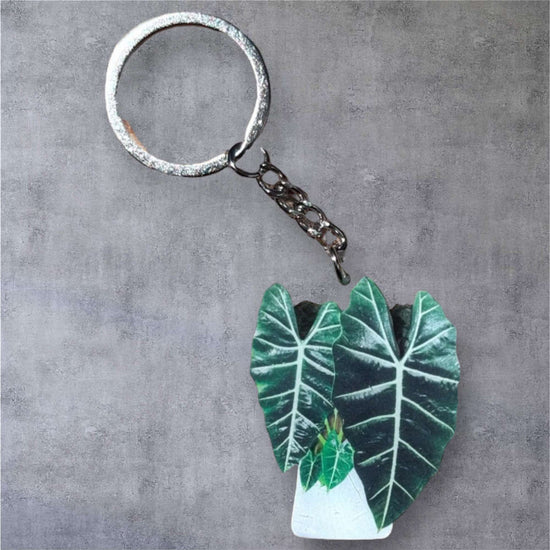 Keyring - Alocasia &