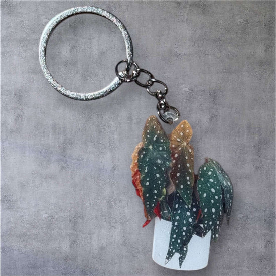 Keyring - Begonia &