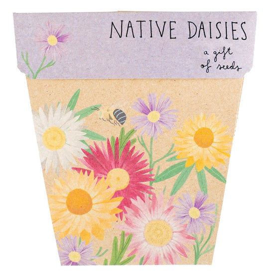 Native Daisies - Gift of Seeds Card