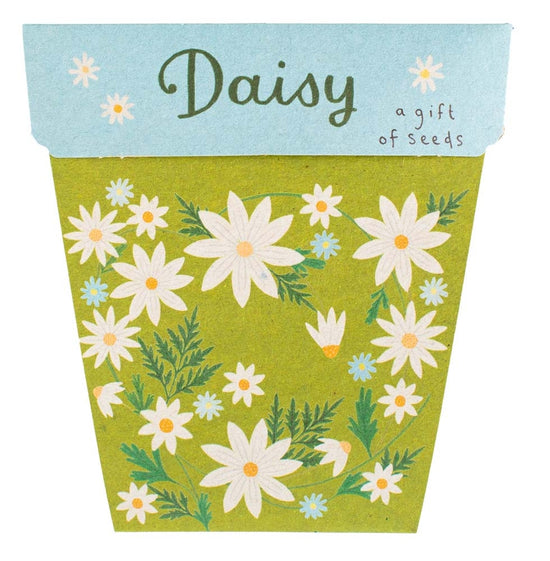 Daisy - Gift of Seeds Card