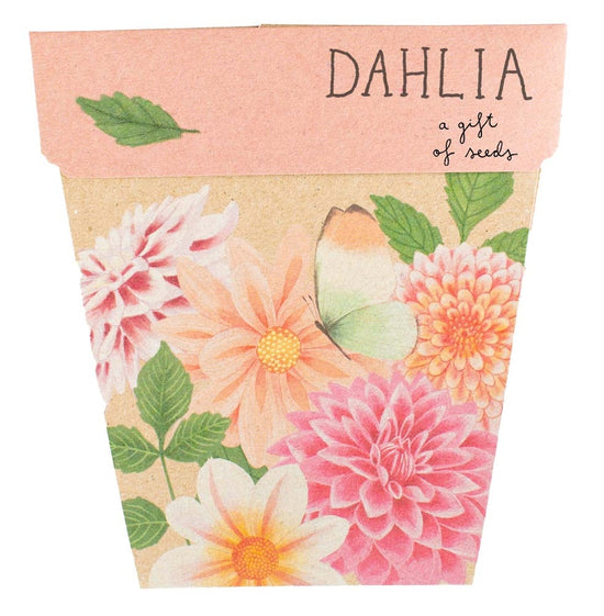 Dahlia - Gift of Seeds Card