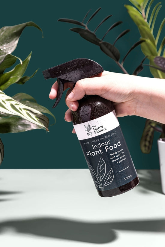 Indoor Plant Food - Foliar Spray 500ml