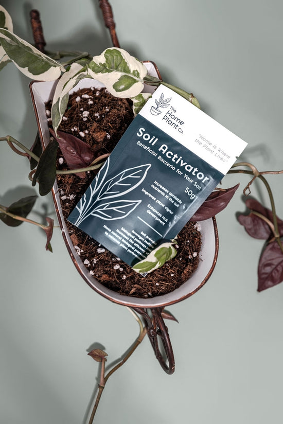 Soil Activator - 50g